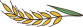 left-grain left-grain