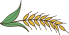 right-grain right-grain